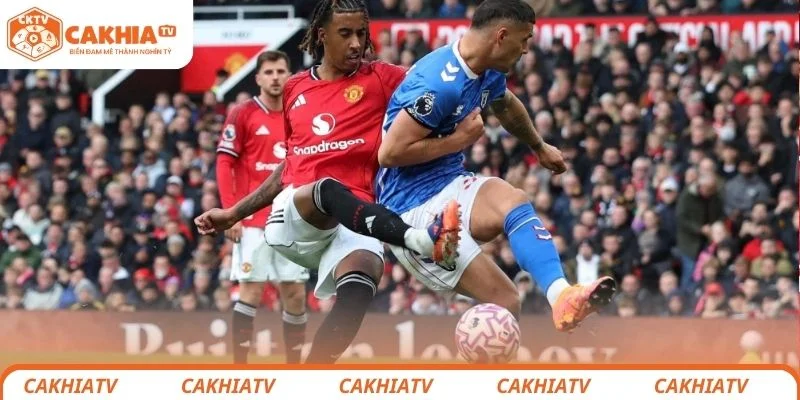 Brighton vs Manchester United - Màn Chạm Trán Nảy Lửa Vòng 38 1 Thông tin tổng quan về trận đấu giữa Brighton vs Manchester United